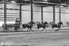 Ancaster Fair 2024 Opening Night Photos available via Pete's Photography, Ontario, Canada