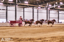 Ancaster Fair 2024 Opening Night Photos available via Pete's Photography, Ontario, Canada