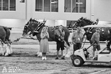 Ancaster Fair 2024 Opening Night Photos available via Pete's Photography, Ontario, Canada