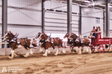 Ancaster Fair 2024 Opening Night Photos available via Pete's Photography, Ontario, Canada