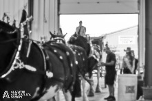 Ancaster Fair 2024 Opening Night Photos available via Pete's Photography, Ontario, Canada