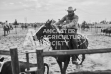 Pete's Photography photographs of the 2024 Ancaster Fairgrounds cattle sorting and six horse hitch demonstration in wide angle format.