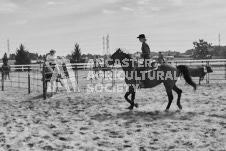 Pete's Photography photographs of the 2024 Ancaster Fairgrounds cattle sorting and six horse hitch demonstration in wide angle format.