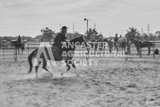 Pete's Photography photographs of the 2024 Ancaster Fairgrounds cattle sorting and six horse hitch demonstration in wide angle format.