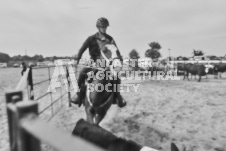 Pete's Photography photographs of the 2024 Ancaster Fairgrounds cattle sorting and six horse hitch demonstration in wide angle format.