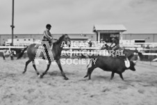 Pete's Photography photographs of the 2024 Ancaster Fairgrounds cattle sorting and six horse hitch demonstration in wide angle format.