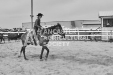 Pete's Photography photographs of the 2024 Ancaster Fairgrounds cattle sorting and six horse hitch demonstration in wide angle format.