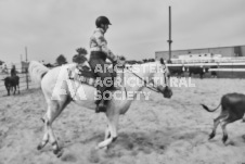 Pete's Photography photographs of the 2024 Ancaster Fairgrounds cattle sorting and six horse hitch demonstration in wide angle format.