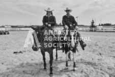 Pete's Photography photographs of the 2024 Ancaster Fairgrounds cattle sorting and six horse hitch demonstration in wide angle format.