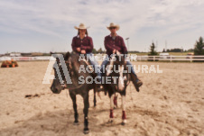 Pete's Photography photographs of the 2024 Ancaster Fairgrounds cattle sorting and six horse hitch demonstration in wide angle format.