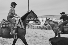 Pete's Photography photographs of the 2024 Ancaster Fairgrounds cattle sorting and six horse hitch demonstration in wide angle format.