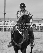 Pete's Photography photographs of the 2024 Ancaster Fairgrounds cattle sorting and six horse hitch demonstration in wide angle format.