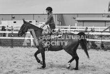 Pete's Photography photographs of the 2024 Ancaster Fairgrounds cattle sorting and six horse hitch demonstration in wide angle format.