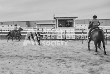 Pete's Photography photographs of the 2024 Ancaster Fairgrounds cattle sorting and six horse hitch demonstration in wide angle format.