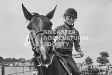 Pete's Photography photographs of the 2024 Ancaster Fairgrounds cattle sorting and six horse hitch demonstration in wide angle format.