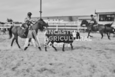 Pete's Photography photographs of the 2024 Ancaster Fairgrounds cattle sorting and six horse hitch demonstration in wide angle format.