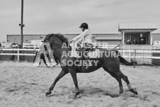 Pete's Photography photographs of the 2024 Ancaster Fairgrounds cattle sorting and six horse hitch demonstration in wide angle format.