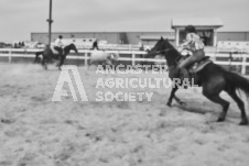 Pete's Photography photographs of the 2024 Ancaster Fairgrounds cattle sorting and six horse hitch demonstration in wide angle format.