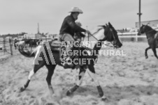 Pete's Photography photographs of the 2024 Ancaster Fairgrounds cattle sorting and six horse hitch demonstration in wide angle format.