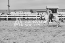 Pete's Photography photographs of the 2024 Ancaster Fairgrounds cattle sorting and six horse hitch demonstration in wide angle format.