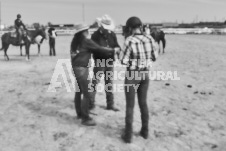 Pete's Photography photographs of the 2024 Ancaster Fairgrounds cattle sorting and six horse hitch demonstration in wide angle format.