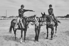 Pete's Photography photographs of the 2024 Ancaster Fairgrounds cattle sorting and six horse hitch demonstration in wide angle format.