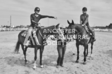 Pete's Photography photographs of the 2024 Ancaster Fairgrounds cattle sorting and six horse hitch demonstration in wide angle format.