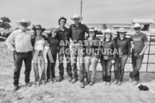 Pete's Photography photographs of the 2024 Ancaster Fairgrounds cattle sorting and six horse hitch demonstration in wide angle format.