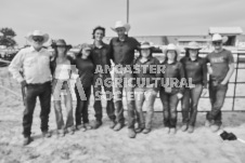 Pete's Photography photographs of the 2024 Ancaster Fairgrounds cattle sorting and six horse hitch demonstration in wide angle format.