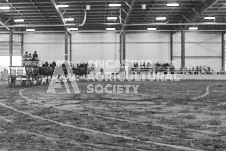 Pete's Photography photographs of the 2024 Ancaster Fairgrounds cattle sorting and six horse hitch demonstration in wide angle format.