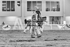 Ancaster Fair September 21, 2024 - Single horse cart and Six horse hitch presentations - equine photographer - equine photography - draft horse - draft horses.