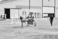 Ancaster Fair September 21, 2024 - Single horse cart and Six horse hitch presentations - equine photographer - equine photography - draft horse - draft horses.