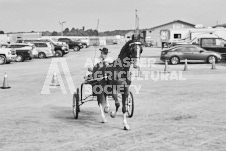 Ancaster Fair September 21, 2024 - Single horse cart and Six horse hitch presentations - equine photographer - equine photography - draft horse - draft horses.