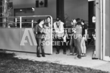 Ancaster Fair September 21, 2024 - Single horse cart and Six horse hitch presentations - equine photographer - equine photography - draft horse - draft horses.