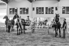 Ancaster Fair September 21, 2024 - Single horse cart and Six horse hitch presentations - equine photographer - equine photography - draft horse - draft horses.