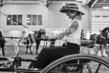 Ancaster Fair September 21, 2024 - Single horse cart and Six horse hitch presentations - equine photographer - equine photography - draft horse - draft horses.