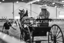 Ancaster Fair September 21, 2024 - Single horse cart and Six horse hitch presentations - equine photographer - equine photography - draft horse - draft horses.