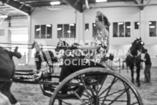 Ancaster Fair September 21, 2024 - Single horse cart and Six horse hitch presentations - equine photographer - equine photography - draft horse - draft horses.