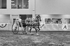 Ancaster Fair September 21, 2024 - Single horse cart and Six horse hitch presentations - equine photographer - equine photography - draft horse - draft horses.