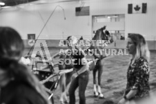 Ancaster Fair September 21, 2024 - Single horse cart and Six horse hitch presentations - equine photographer - equine photography - draft horse - draft horses.