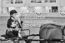 Ancaster Fair September 21, 2024 - Single horse cart and Six horse hitch presentations - equine photographer - equine photography - draft horse - draft horses.