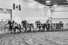 Ancaster Fair September 21, 2024 - Single horse cart and Six horse hitch presentations - equine photographer - equine photography - draft horse - draft horses.