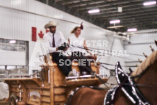 Ancaster Fair September 21, 2024 - Single horse cart and Six horse hitch presentations - equine photographer - equine photography - draft horse - draft horses.