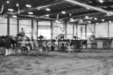 Ancaster Fair September 21, 2024 - Single horse cart and Six horse hitch presentations - equine photographer - equine photography - draft horse - draft horses.