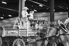 Ancaster Fair September 21, 2024 - Single horse cart and Six horse hitch presentations - equine photographer - equine photography - draft horse - draft horses.