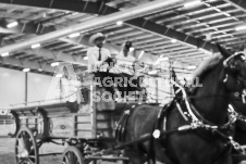 Ancaster Fair September 21, 2024 - Single horse cart and Six horse hitch presentations - equine photographer - equine photography - draft horse - draft horses.