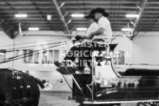 Ancaster Fair September 21, 2024 - Single horse cart and Six horse hitch presentations - equine photographer - equine photography - draft horse - draft horses.