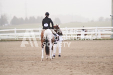 ete's Photography - Equine photography of various equine events at the Ancaster Fair including riding, driving, single carts and six draft horse hitches.