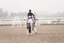 ete's Photography - Equine photography of various equine events at the Ancaster Fair including riding, driving, single carts and six draft horse hitches.