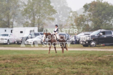 ete's Photography - Equine photography of various equine events at the Ancaster Fair including riding, driving, single carts and six draft horse hitches.